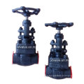 API Standard Forged Steel A105 Rosca final NPT Globe Valve